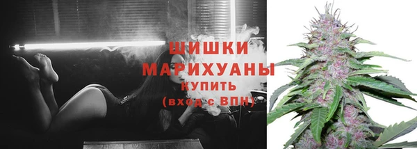 Альфа ПВП Беломорск
