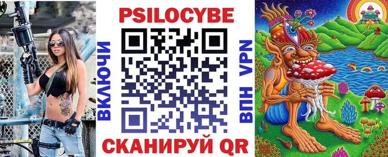 blacksprut ссылка  Судогда  Псилоцибиновые грибы Cubensis 